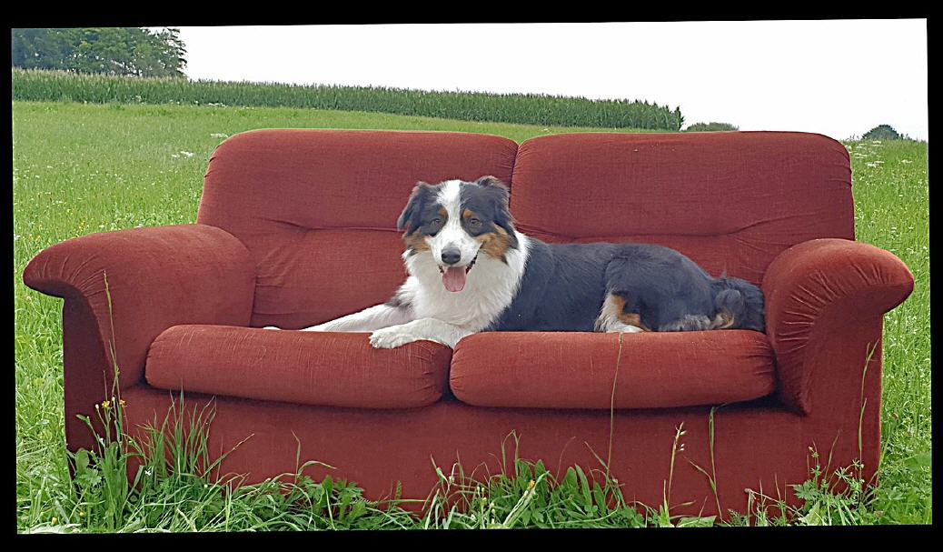 Ich bin die JUNO und die...